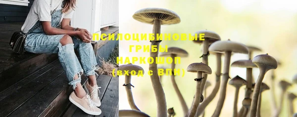 mdpv Кулебаки