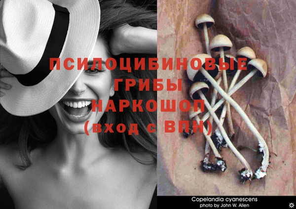 mdpv Кулебаки