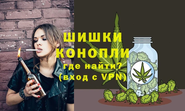 бошки Щёлкино