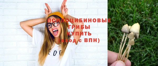 a pvp Нестеровская