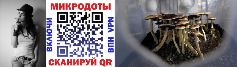 Галлюциногенные грибы ЛСД  закладка  Орск 
